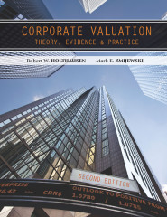 Corporate Valuation, 2e