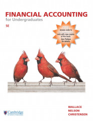 Financial Accounting for Undergraduates, 5e